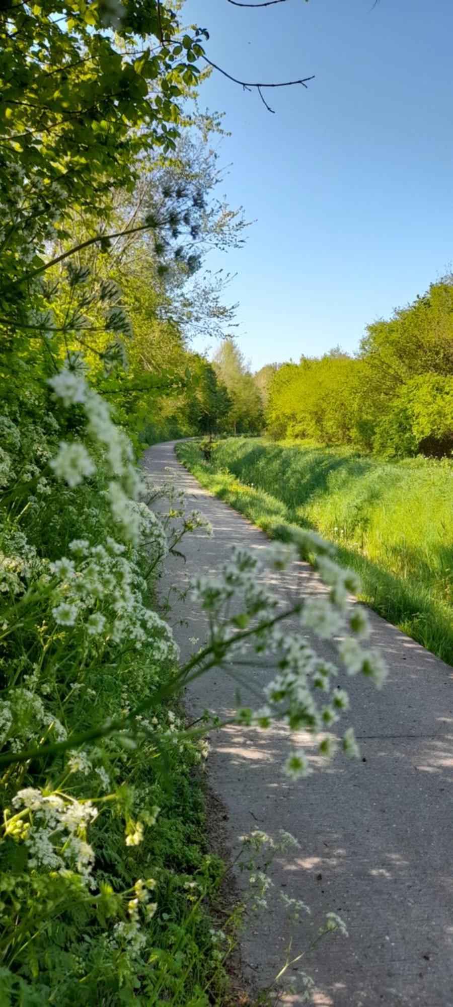 Vakantiepark Wulpdal Scherpenisse Luaran gambar